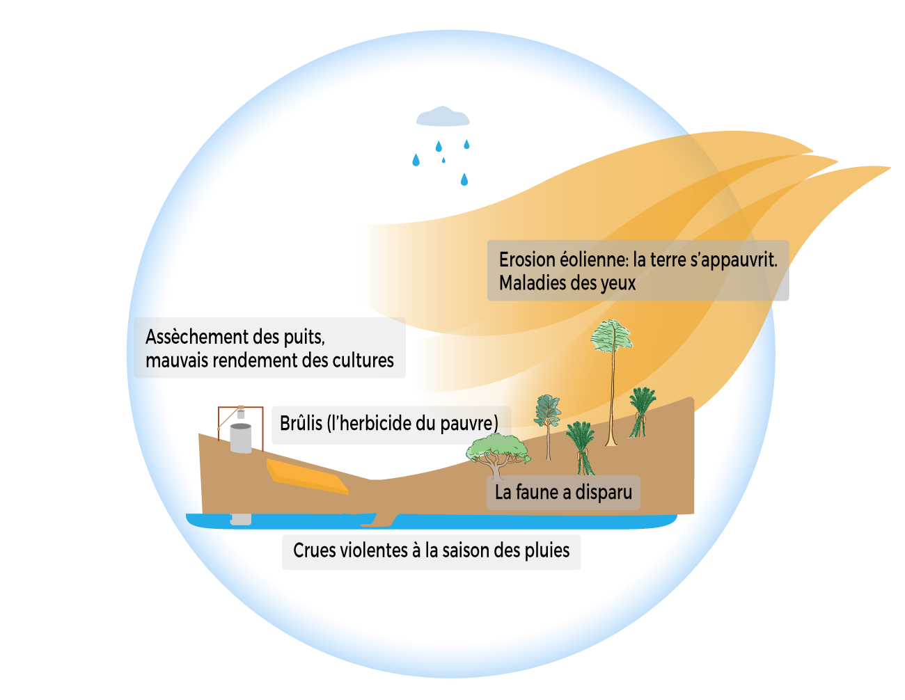 ARBORISE-illustration-BEFORE