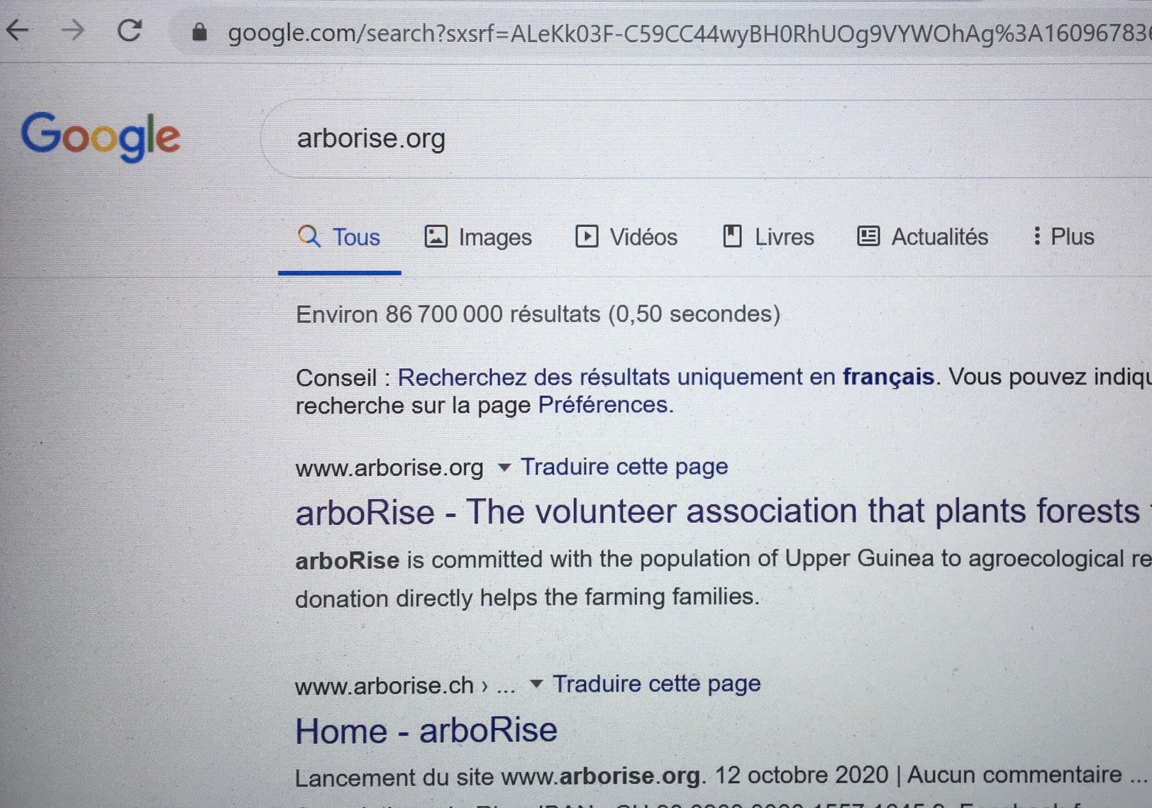 ArboRise sur Google