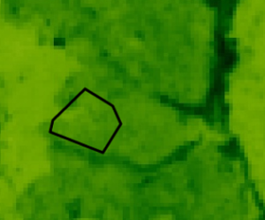 NDVI of a plot